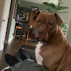 Meet your Posher, Zach